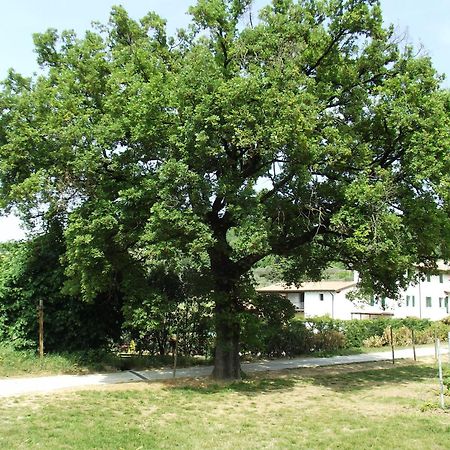 Agriturismo Ca' Castellani Bardolino Bagian luar foto