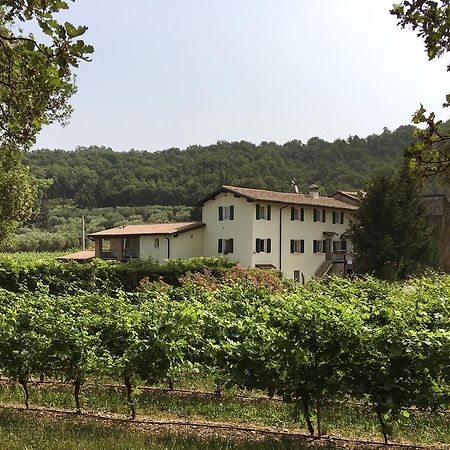 Agriturismo Ca' Castellani Bardolino Bagian luar foto