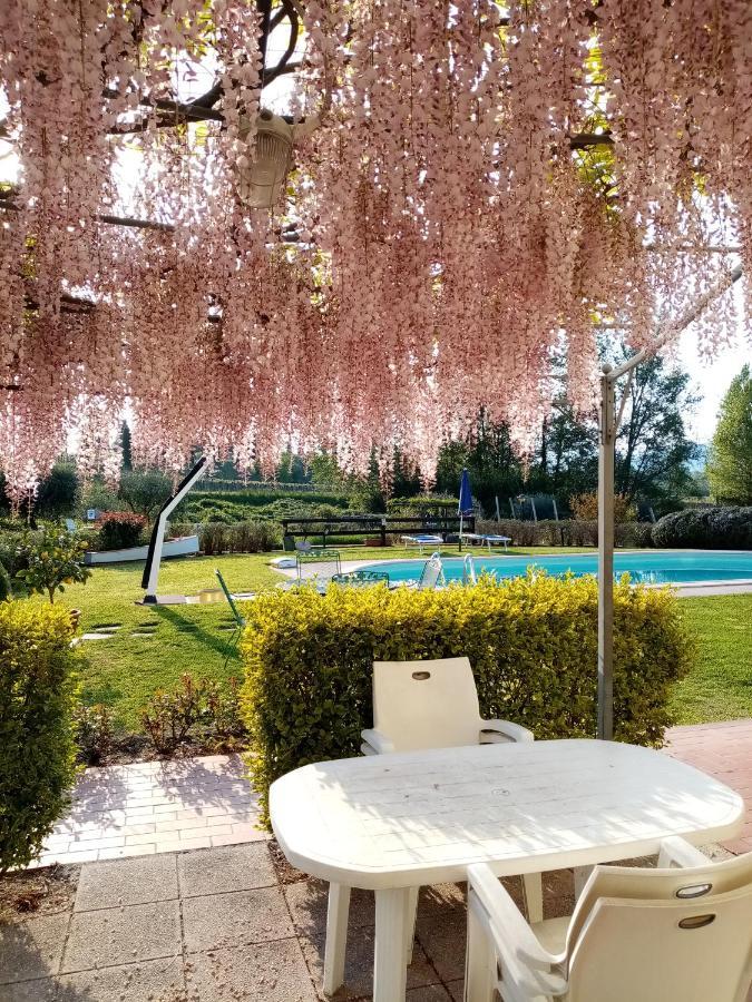 Agriturismo Ca' Castellani Bardolino Bagian luar foto