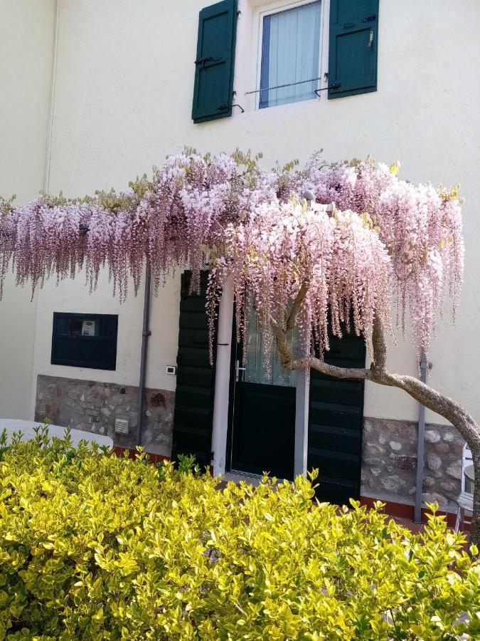Agriturismo Ca' Castellani Bardolino Bagian luar foto