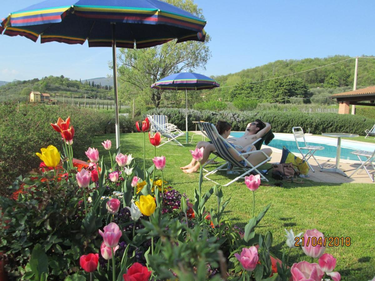 Agriturismo Ca' Castellani Bardolino Bagian luar foto