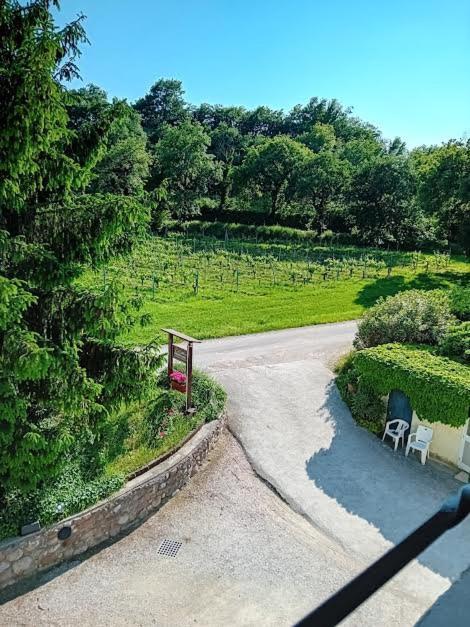 Agriturismo Ca' Castellani Bardolino Bagian luar foto
