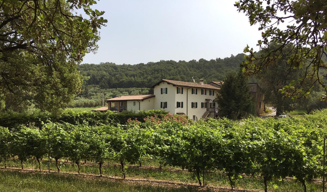 Agriturismo Ca' Castellani Bardolino Bagian luar foto